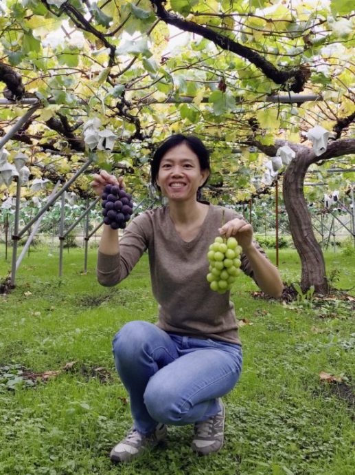 【日本】长野县／探索不一样的慢活风景
