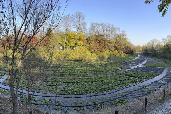 【日本】长野县／探索不一样的慢活风景