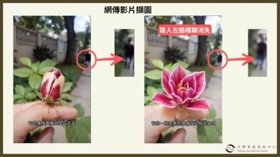 【求真】| 昆虫花朵一体生物？ 假的！是AI生成影片