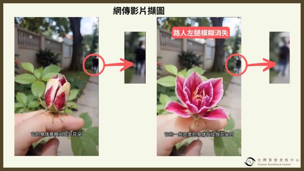 【求真】|昆虫花朵一体生物? 假的!是AI生成影片