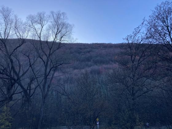 【纽西兰】皇后镇──地球南端的辣妹子