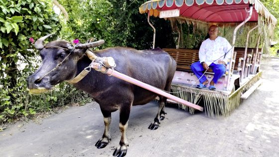 【菲律宾】菲律宾──重新认识她的多元面貌