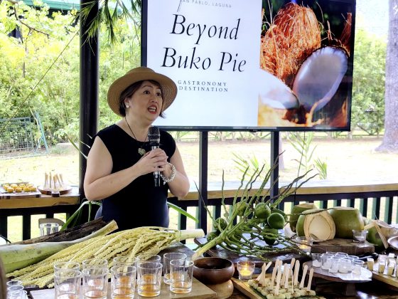 【菲律宾】菲律宾──重新认识她的多元面貌