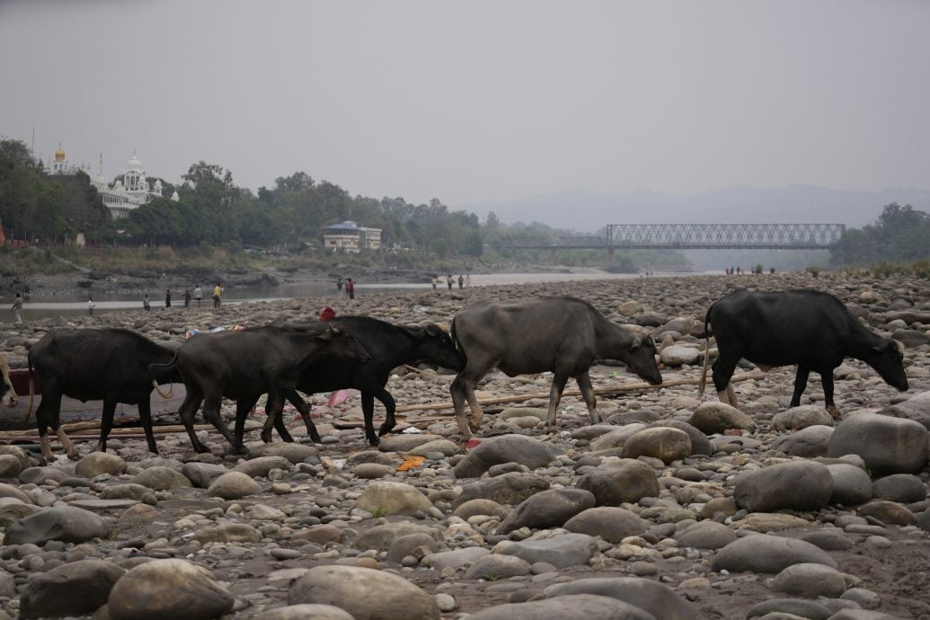  不让“一滴水”进入巴基斯坦  印度中止水协议