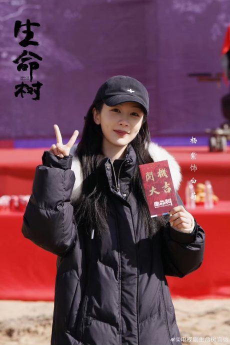 与胡歌拍新剧全网看衰 杨紫“脸僵鼻翘”遭疑整形	