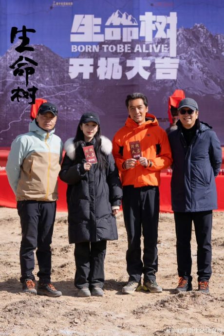 与胡歌拍新剧全网看衰 杨紫“脸僵鼻翘”遭疑整形	