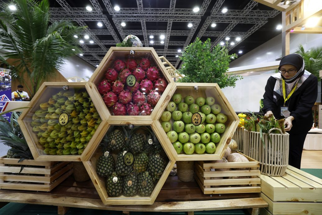 东盟峰会/游客参观展览