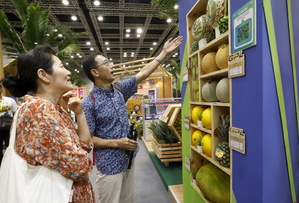 东盟峰会/游客参观展览