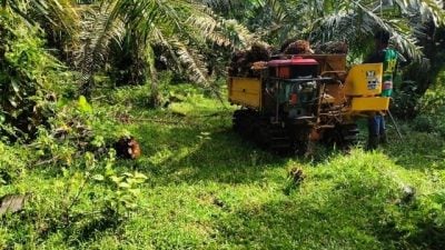 3外籍男子非法转移州政府地段油棕收成遭逮捕