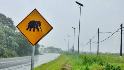 东西大道日里─宜力路段 野象袭击一轿车  ​