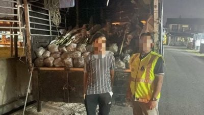 丹警方起获泰国走私观赏植物 总值264万
