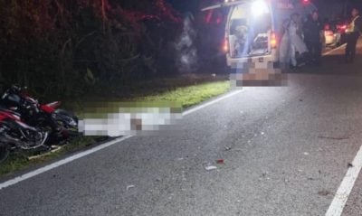 51岁摩多车骑士午夜返家撞牛亡