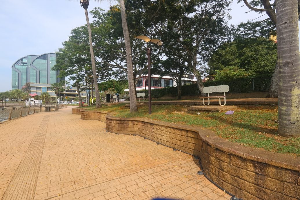 东：已签发：清晨运动遇惊喜，市民发现野生鳄鱼在关丹河“漂游”