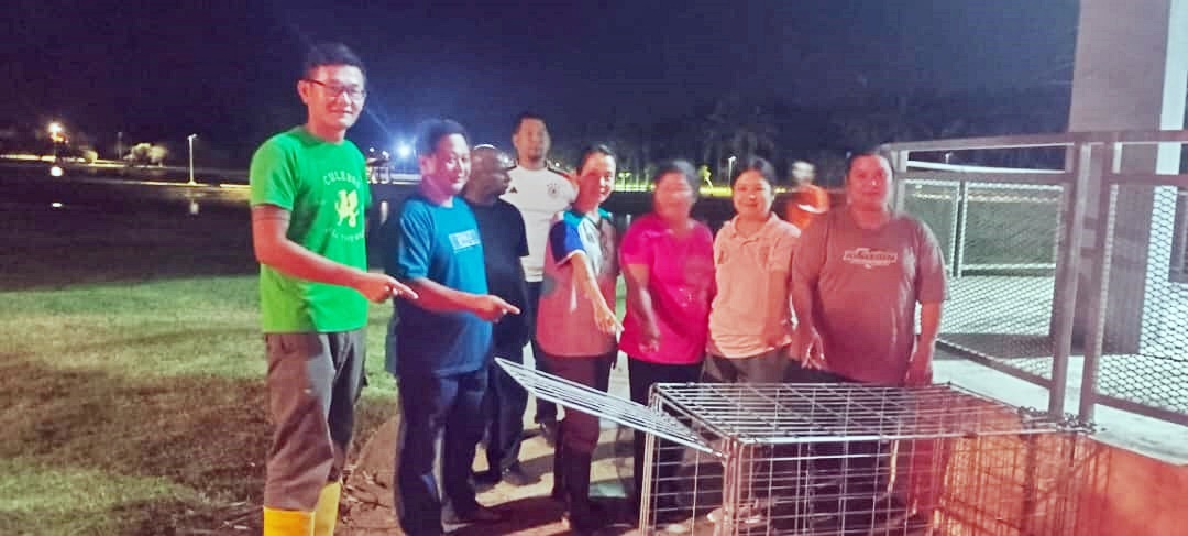 东:百乐毛孩之家向县议会学捕狗以落实TNR