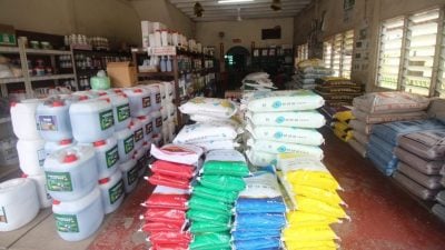 砍树封芭 结果率减  肥料店生意暴跌逾50%