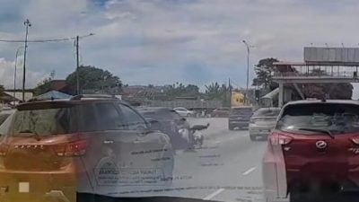 视频| 小贩红灯卖水果被撞飞 市政厅促勿以身试法