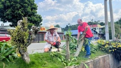 金马苏新村2路口草木阻视野  村长联合志工齐清理