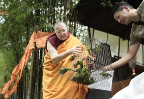 东:(已签发): 文冬克切拉禅修林举行卫塞节盛大庆典