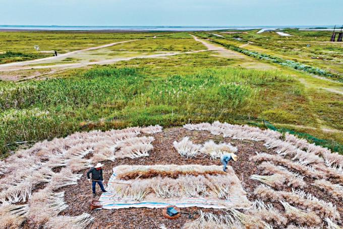 中国多地旱情冲击小麦生产 陕西64年最“渴”