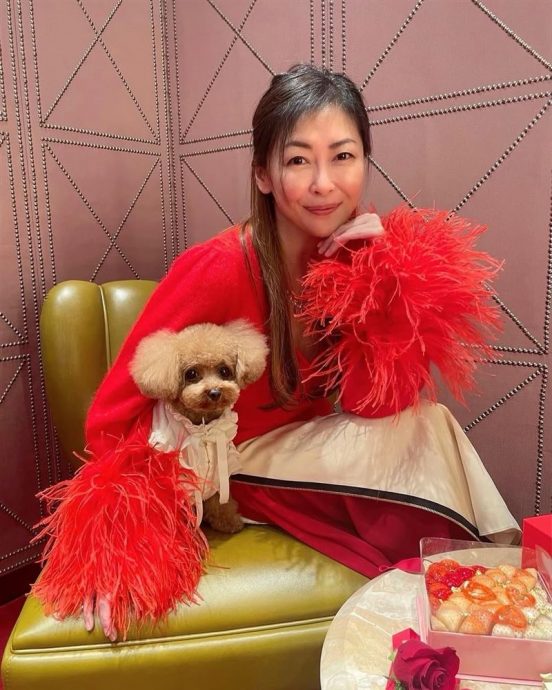 中山美穗过世5个月　21岁独子放弃继承遗产