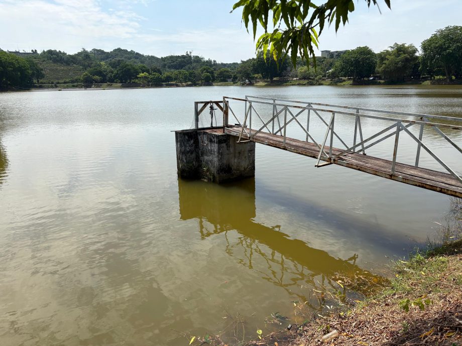 主办方释放共2000公斤非洲鲶鱼  渔业局：影响生态平衡威胁本地物种