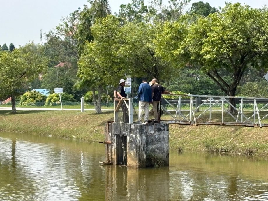 主办方释放共2000公斤非洲鲶鱼  渔业局：影响生态平衡威胁本地物种