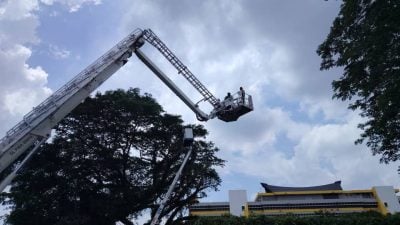乘流动升降机砍树发生故障 2男子被困高空