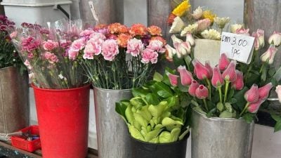 母亲节经济型好礼 百元花束最受欢迎