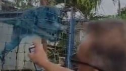野猴遭困笼喷漆虐待·警证实一男子落网助查