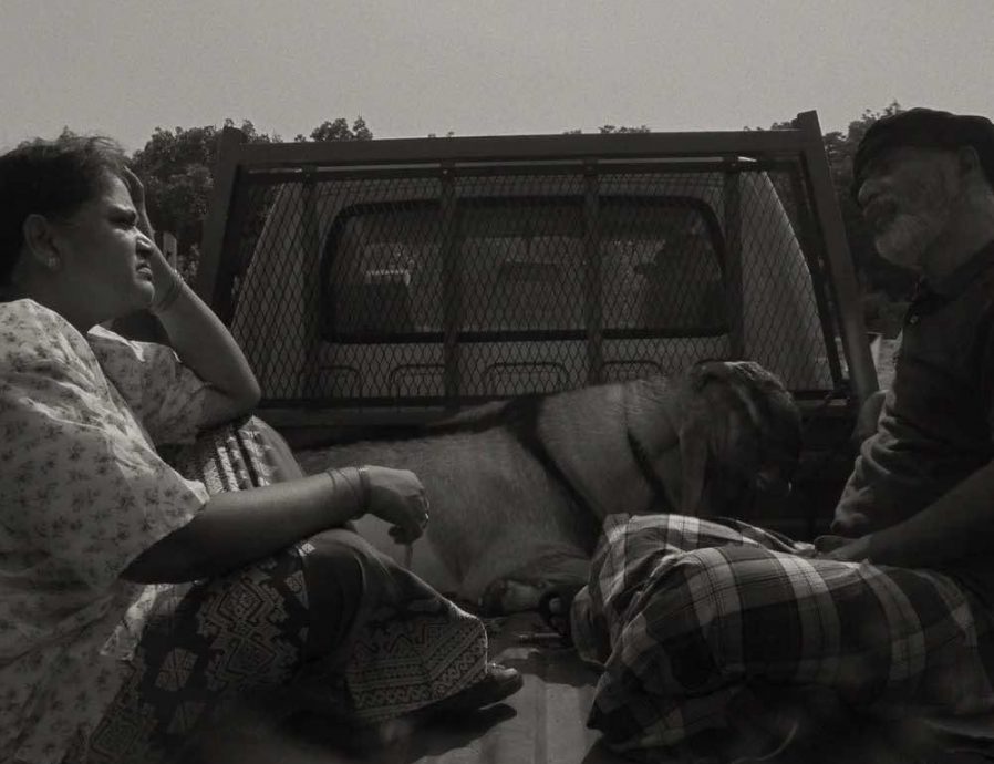 入选康城国际影评人周 《BLEAT!》成首部角逐大马短片