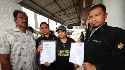 反对森捕杀流浪狗 全国逾5400人联署