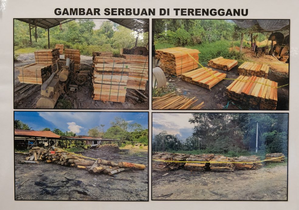 警联合森林局突击板厂行动,查获9733万资产捕98人。