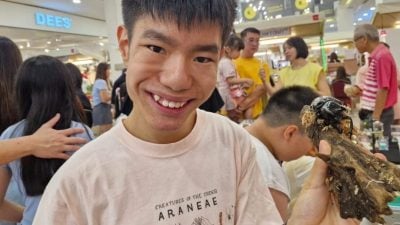 结识同好办展 推广生态保育 星星少年热爱昆虫研究