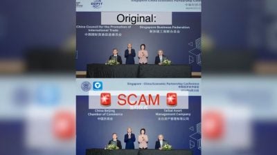 冒充狮城淡马锡旗下公司   假“太白投资”在华诈骗