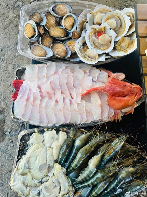 公开母子温馨出游照 白百何再婚首曝二胎