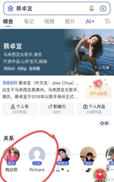 前夫遭恶搞成梅艳芳大哥 蔡卓宜无奈发文求助