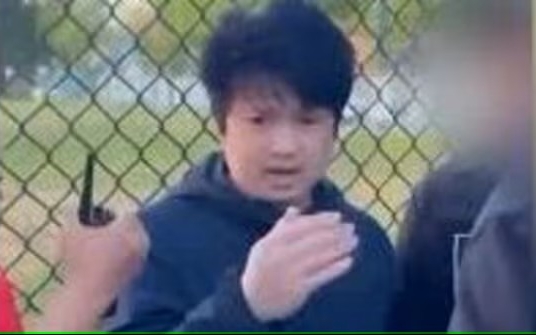 加警方不证实汽车撞人嫌犯原国籍 避免造成族裔分化