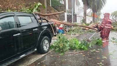 午后暴风雨　孟沙区发生树倒压车意外