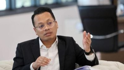 聂纳兹米：5年接4919宗投报    联邦与州须携手解决人象冲突　