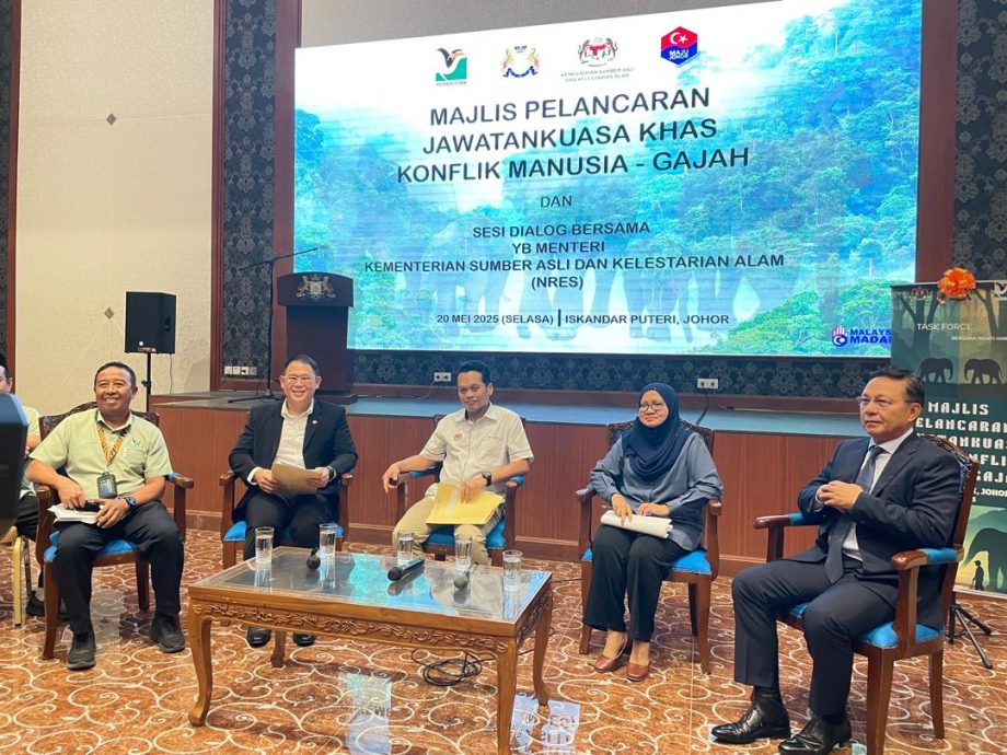 **即时国内**国：聂纳兹米：4年6万多宗投诉  ​人类与野生动物冲突课题迫切