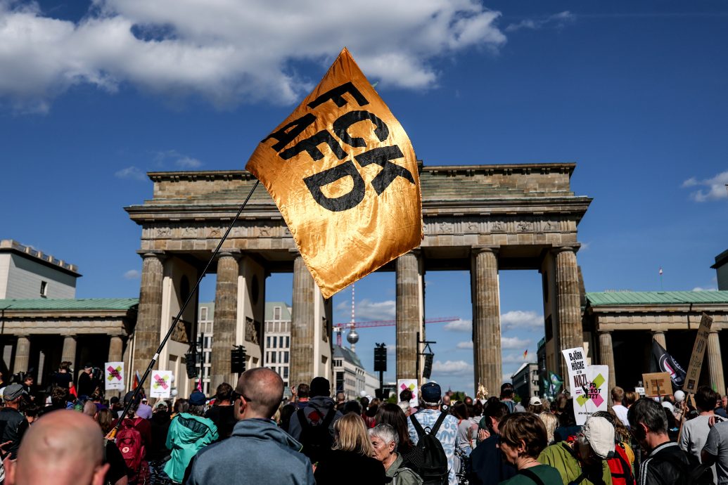 反对极右翼政党 德国各地民众上街游行