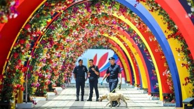 东盟峰会| 东盟峰会会场外 320公尺花卉隧道迎贵客