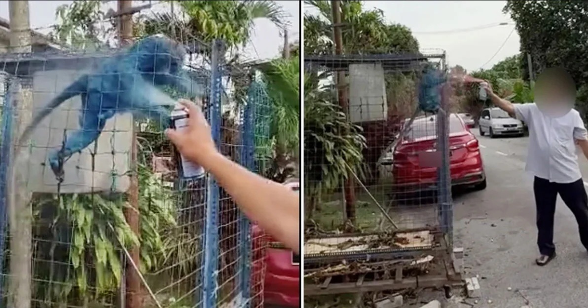 喷漆虐猴者仍逍遥法外? PEKA轰执法怠慢促速提控