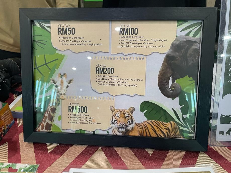 国家动物园大熊猫领养计划 开放至今日下午3时截止