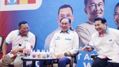 委稽查公司审党选系统  拉菲兹动向 下周明朗化
