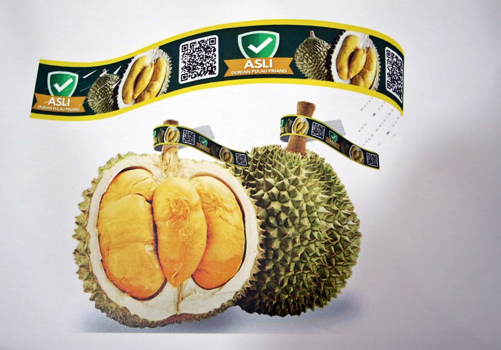 (大北马)槟城榴梿推智能溯源系统　呼吁200园主响应