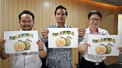 杜绝外地榴梿假冒槟城榴梿　槟政府推出智能溯源系统