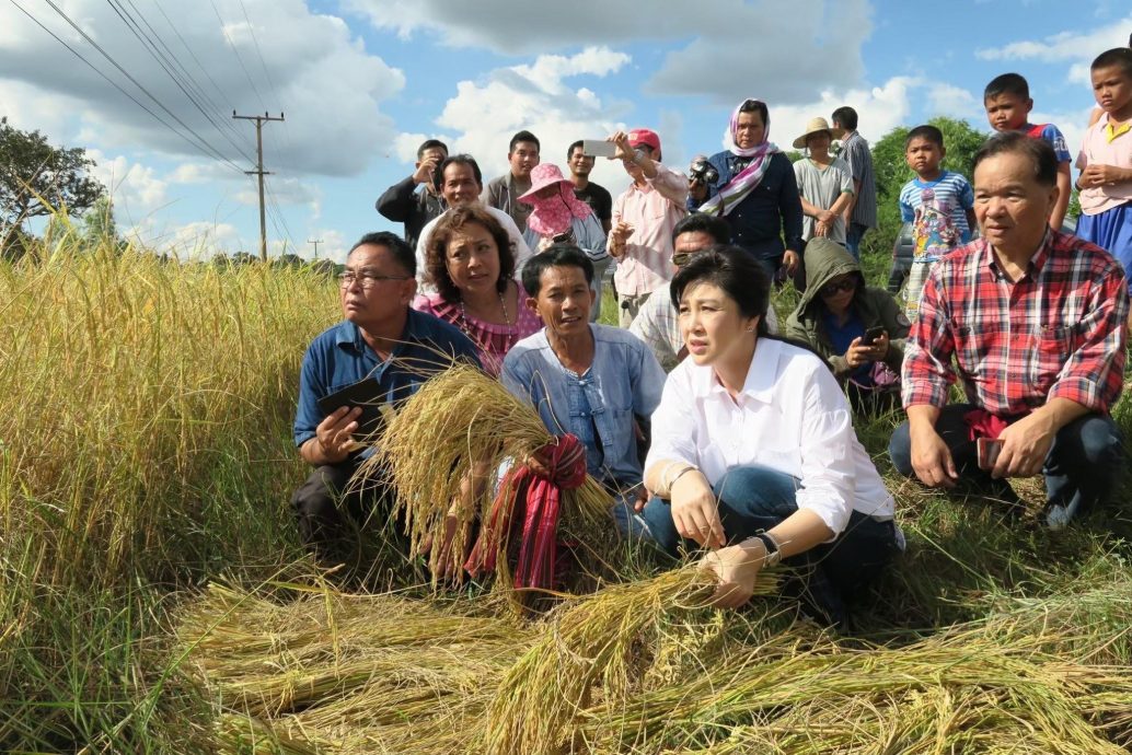 大米案被令赔偿 英叻团队申请重审