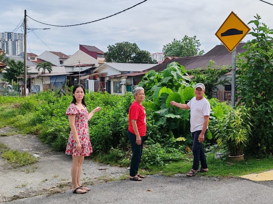 热水湖红路空地杂草丛生 成蛇虫鼠蚁温床