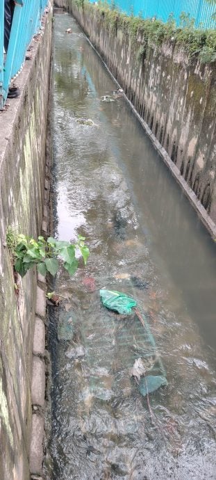 大都会/外劳非法倾倒滞销蔬果进深沟河流 余保凭建议当地人与NGO合作回收计划 善用厨余